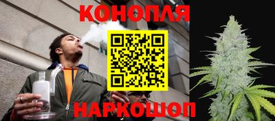 jwh Кинель