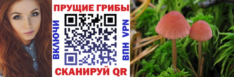 наркошоп  Краснознаменск  Галлюциногенные грибы ЛСД 