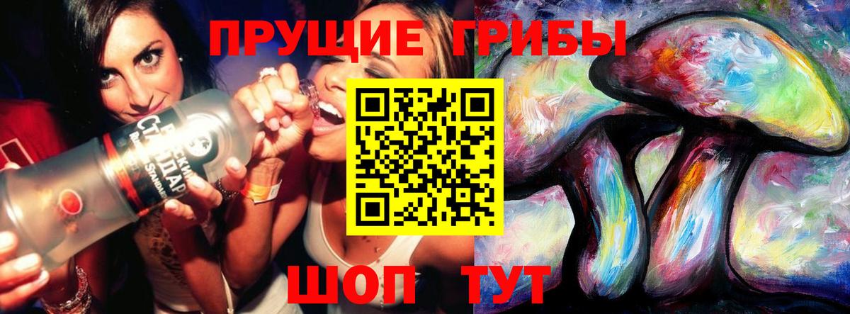 Псилоцибиновые грибы Cubensis Краснознаменск