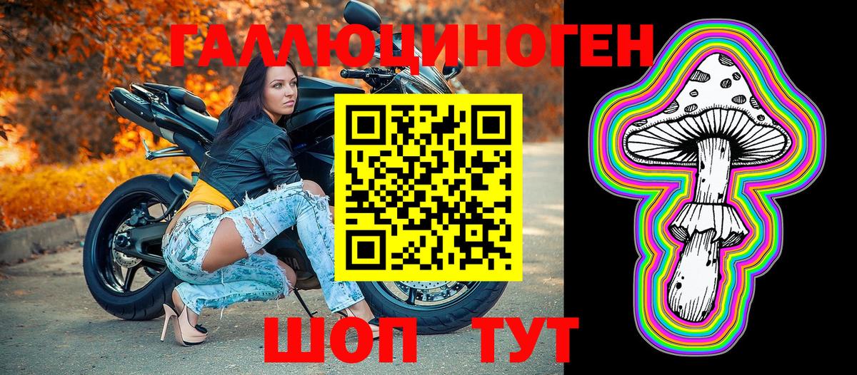 Краснознаменск  Псилоцибиновые грибы Cubensis  Вход с VPN 