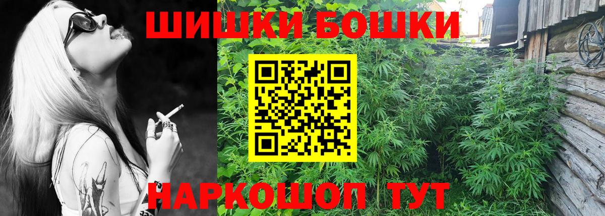 APVP Краснознаменск